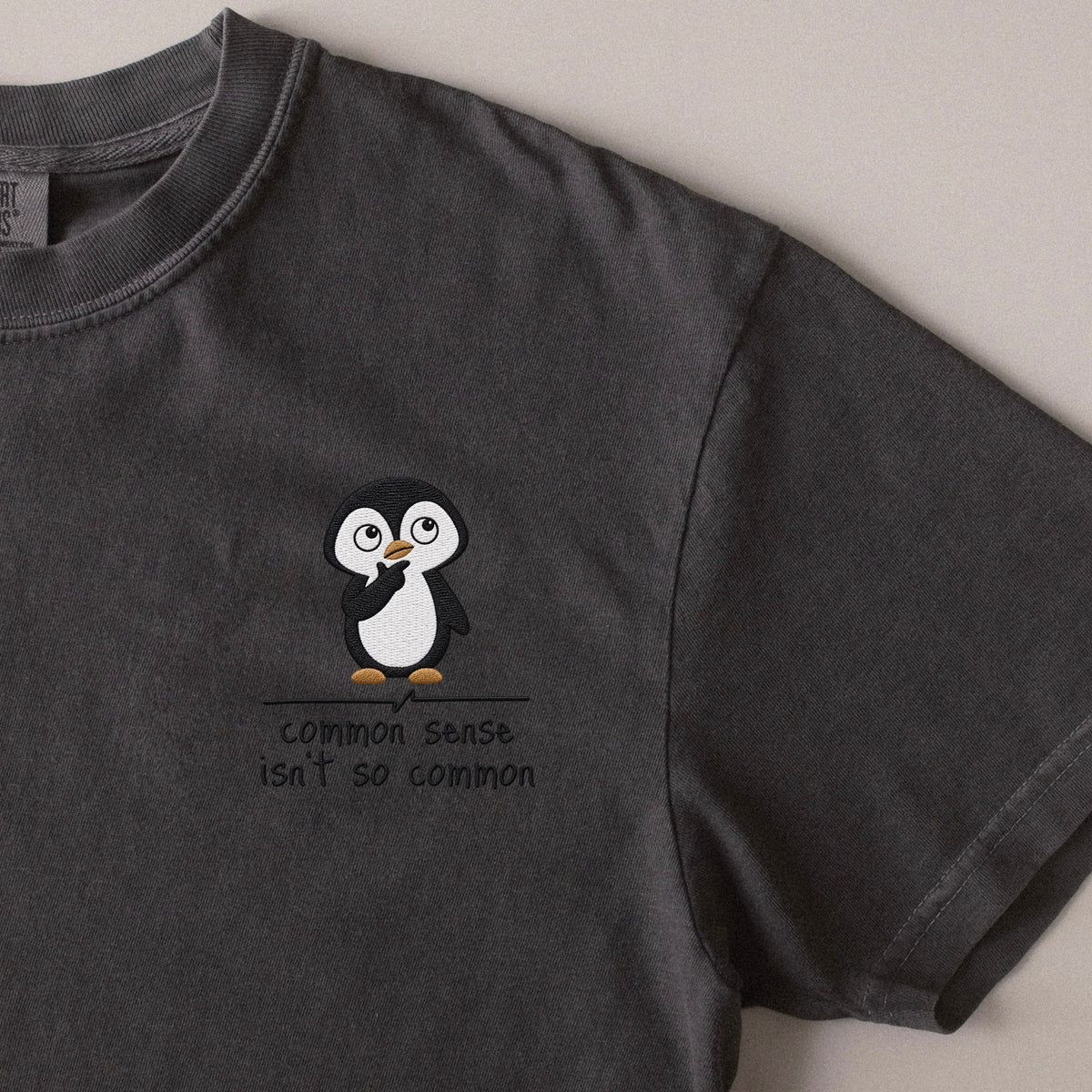 Common Sense Isn't So Common embroidered t-shirt in Pepper