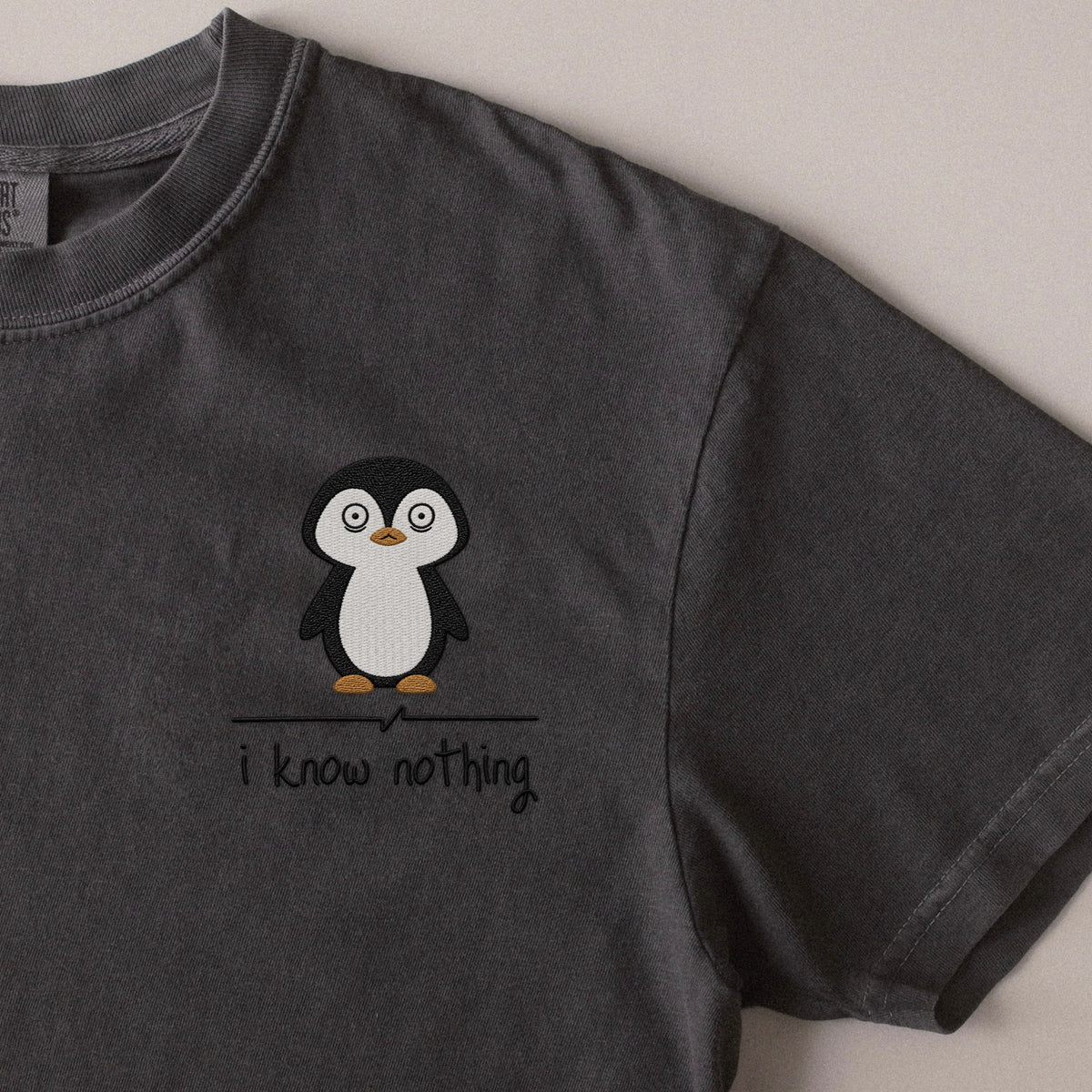 I Know Nothing embroidered t-shirt in Pepper