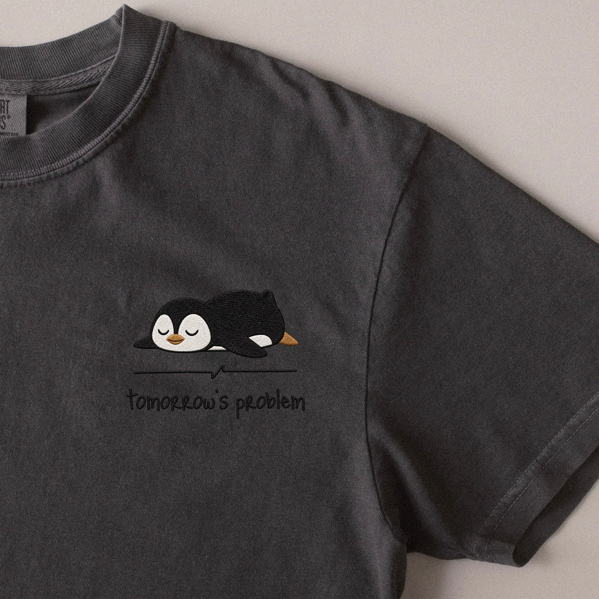 Tomorrow's Problem embroidered t-shirt in Pepper
