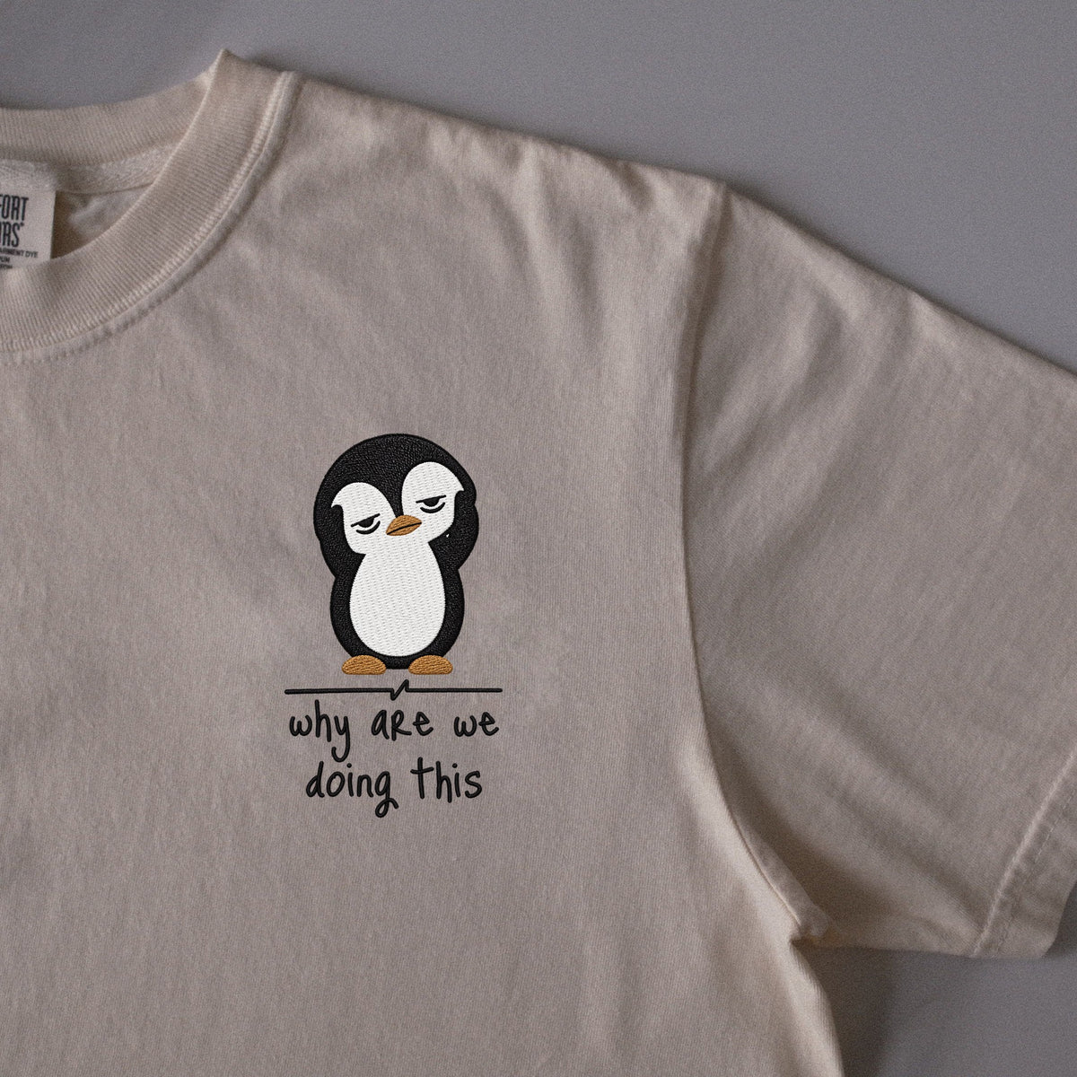 Why Are We Doing This embroidered t-shirt in Ivory